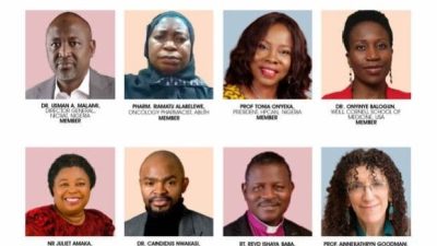 Project Pink Blue seeks improved pain, palliative care in Nigeria