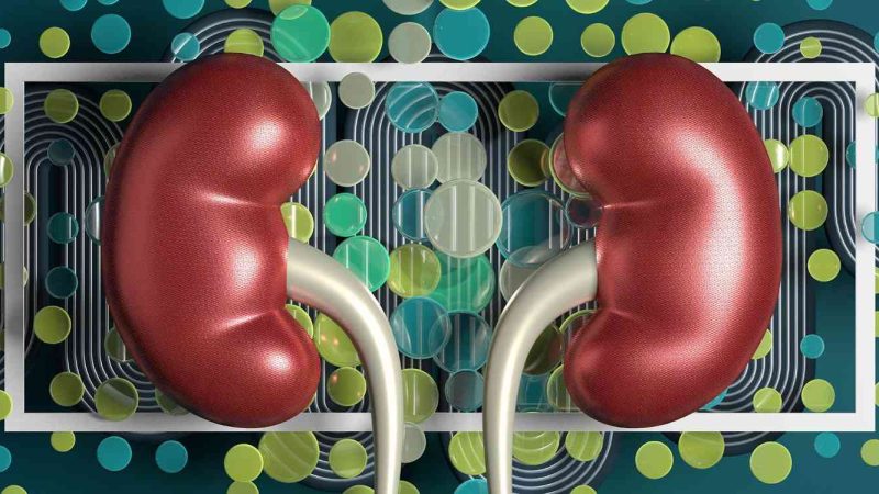 Drug Shows Promise for People with Kidney Disease