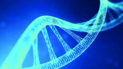 Scientists begin creation of  artificial human DNA from scratch