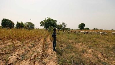 Addressing the metaphor of education in agrarian conflict in northern Nigeria