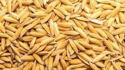 FARO-44,  FARO-52 varieties  game changers in rice production in Nigeria – Expert