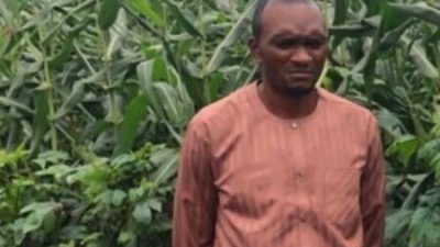 Farmer showcases GM TELA maize, urges government to scale up seed access