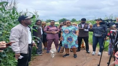 Nigerian federal agencies tour  genetically modified farm, laud crop performance