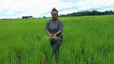 How  adoption of mechanized farming will help Nigeria attain food sufficiency – Farmers