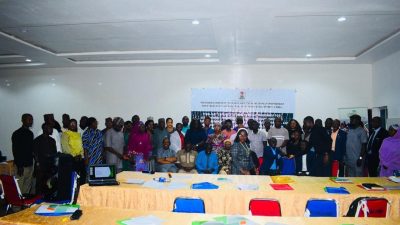 NCDs: Stakeholders chart ways to close public health financing gaps in Nigeria 