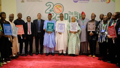FG, experts advocate increased domestic investments against malaria in Africa